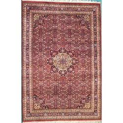 Delhi Hand Knotted Rug 6' x 9' 