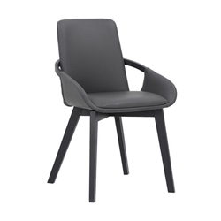 Greisen Modern Wood Dining Room Chair - Gray 