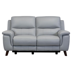 Lizette Contemporary Loveseat in Dark Brown Wood Finish and Dove Grey Genuine Leather 