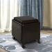 Rainbow Contemporary Storage Ottoman With Tray in Brown Bonded Leather - ARL1986