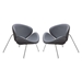 Set of Two Grey Roxy Accent Chair with Chrome Frame - DIA3075
