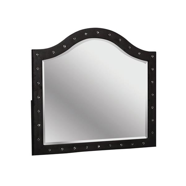 Clerita Transitional Acrylic Diamond Button Mirror in Black 