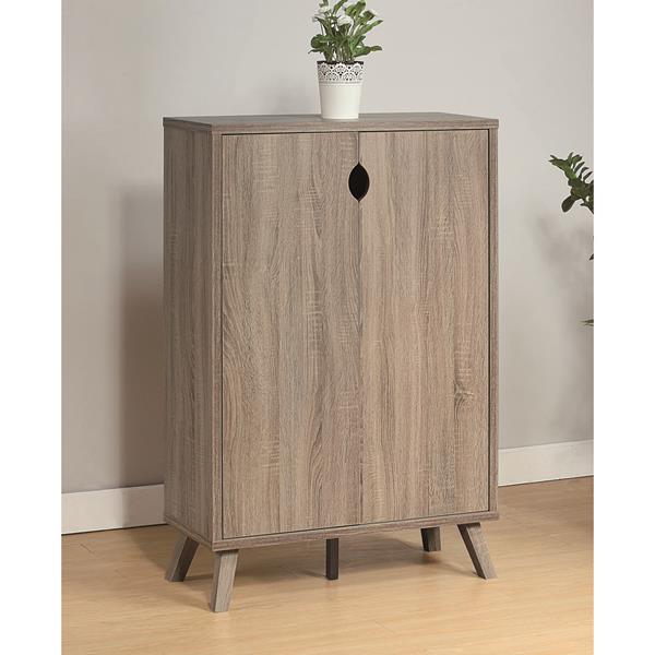 Dark Taupe Shoe and Storage Cabinet with Two Door Cabinet 