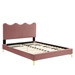 Current Performance Velvet Queen Platform Bed - Dusty Rose - Style A - MOD10155