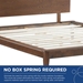 Astra Full Wood Platform Bed - Walnut - MOD12942