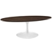 Lippa 48" Oval-Shaped Walnut Coffee Table - Walnut - MOD2313