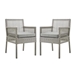 Aura Dining Armchair Outdoor Patio Wicker Rattan Set of 2 - Gray Gray - MOD5338