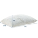 Relax Standard/Queen Size Pillow - White - MOD7803