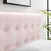 Emily Twin Biscuit Tufted Performance Velvet Headboard - Pink - MOD8360