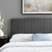 Camilla Channel Tufted Full/Queen Performance Velvet Headboard - Charcoal - MOD8611