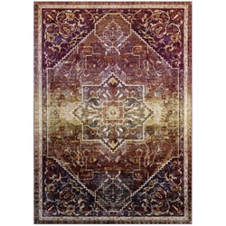 Success Kaede Transitional Distressed Vintage Floral Persian Medallion 5x8 Area Rug - Multicolored 