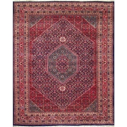 Koderma Hand Knotted Rug 8 x 10 