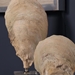 Oyster Shell Sculptures Set of 2 - UTT1534