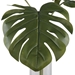 Ibero Split Leaf Palm - UTT2838