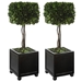 Preserved Boxwood Square Topiaries Set of 2 - UTT2842