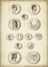 Antique Roman Coins I - VEN1028-2650969