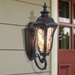 11.25 CFL Exterior Light -  Oil Weathered Bronze 
 - YHD1425