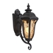 9.25 CFL Exterior Light -  Oil Weathered Bronze 
 - YHD1435