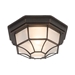 One Exterior Light - Oil-Rubbed Bronze Frame - YHD1442