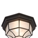 One Exterior Light - Oil-Rubbed Bronze Frame - YHD1442