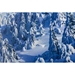 Alpine Landscape - YHD1569