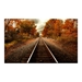 Autumn Rails - YHD1574