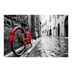 The Red Bike 