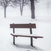 Winter's Morning Fog III - YHD1869