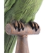 Lorito Figurine Green - ZUO2772