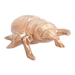 Beetle Gold - ZUO2844