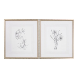 Botanical Sketches Framed Prints Set of 2 