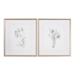 Botanical Sketches Framed Prints Set of 2 - UTT2648