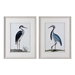 Shore Birds Framed Prints Set of 2 - UTT2652