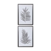 Silver Ferns Framed Prints Set of 2 - UTT2659