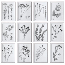 Contemporary Botanicals Framed Prints S/12 