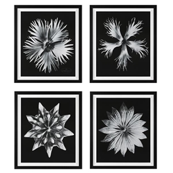 Contemporary Floret Framed Prints Set of 4 