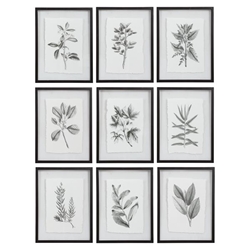Farmhouse Florals Framed Prints Set of 9 