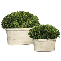 Oval Domes Preserved Boxwood Set of 2 