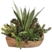 Salar Succulents In Teak Bowl - UTT2820