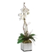 White Kaleama Orchids - UTT2821