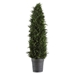 Cypress Cone Topiary - UTT2823