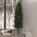Cypress Cone Topiary - UTT2823