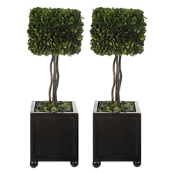 Preserved Boxwood Square Topiaries Set of 2 