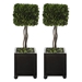 Preserved Boxwood Square Topiaries Set of 2 - UTT2842