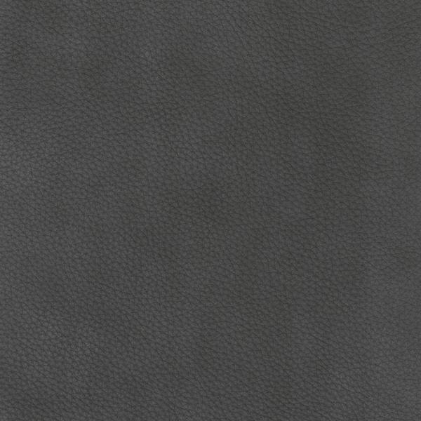 Charcoal Gray
