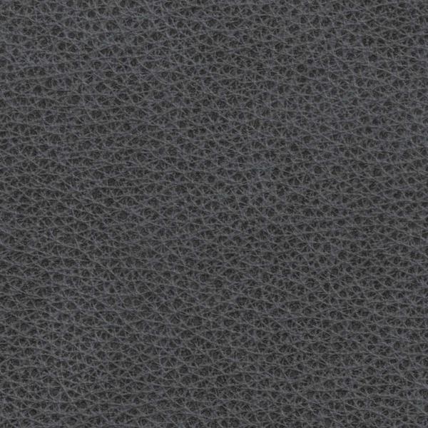 Steel Gray