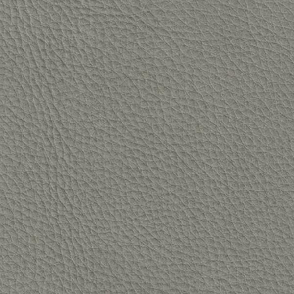 Concrete Gray