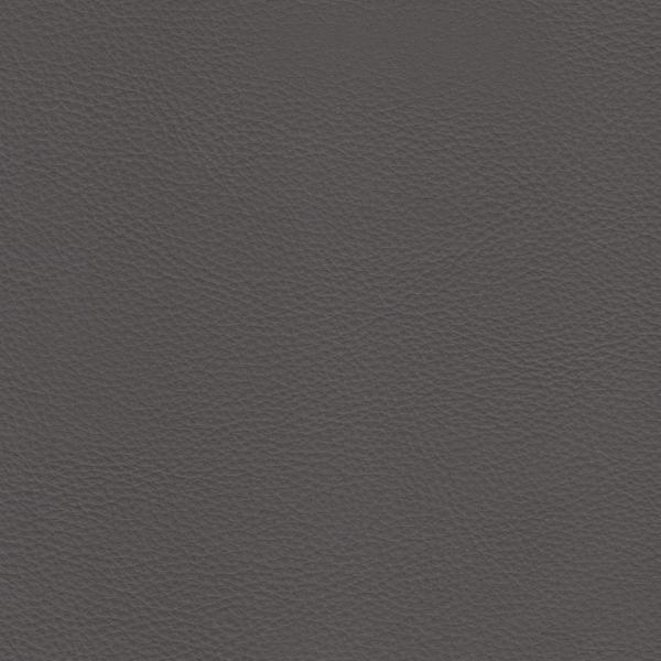 Steel Gray