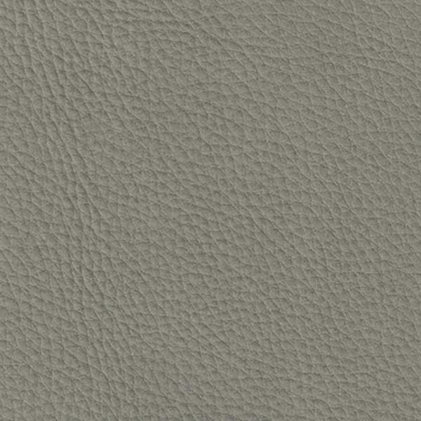 Concrete Gray